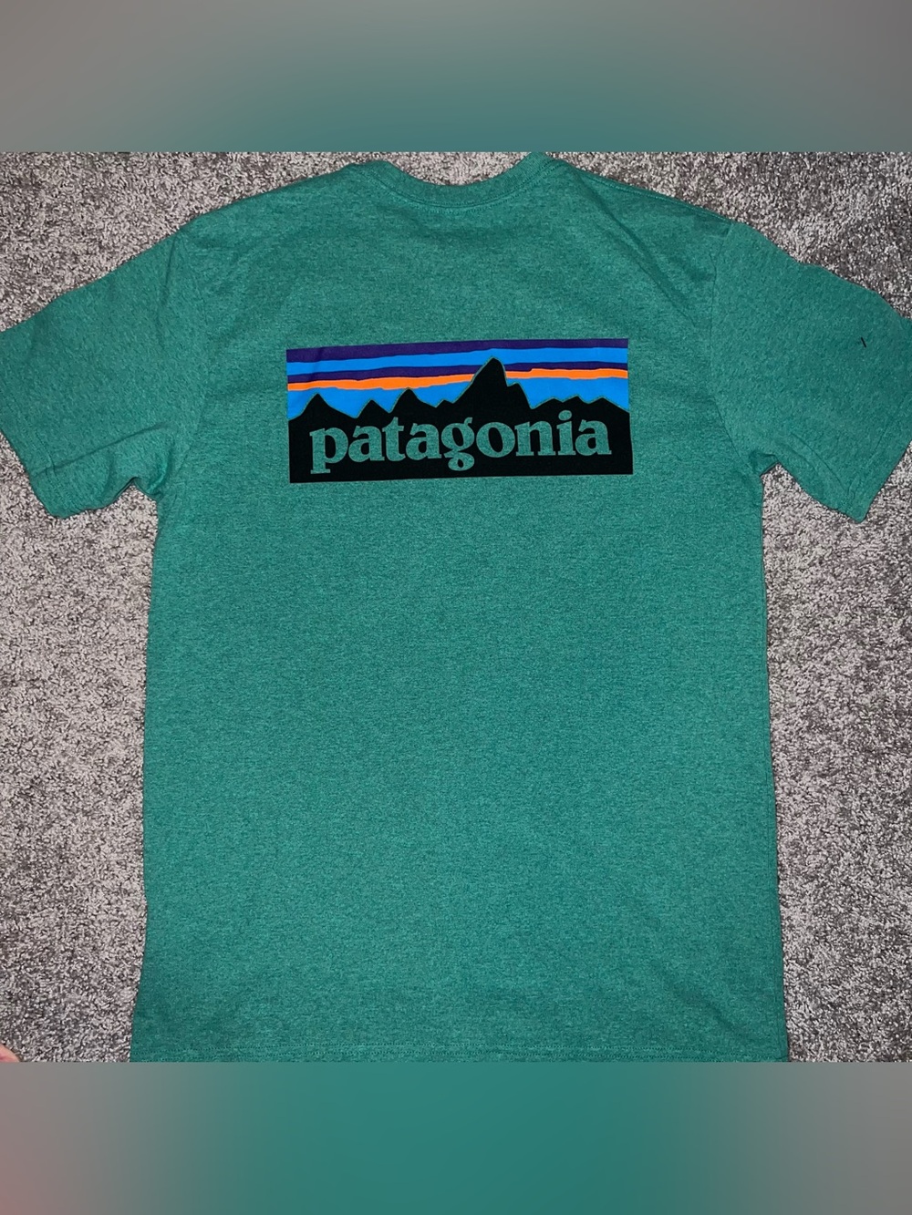 Patagonia Teal Green Short-Sleeve Crew Tee